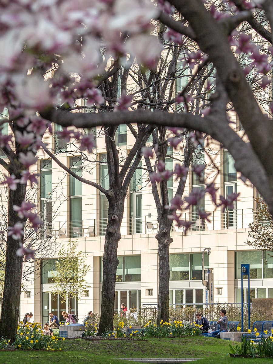 school building with cherry blossom trees in the foreground