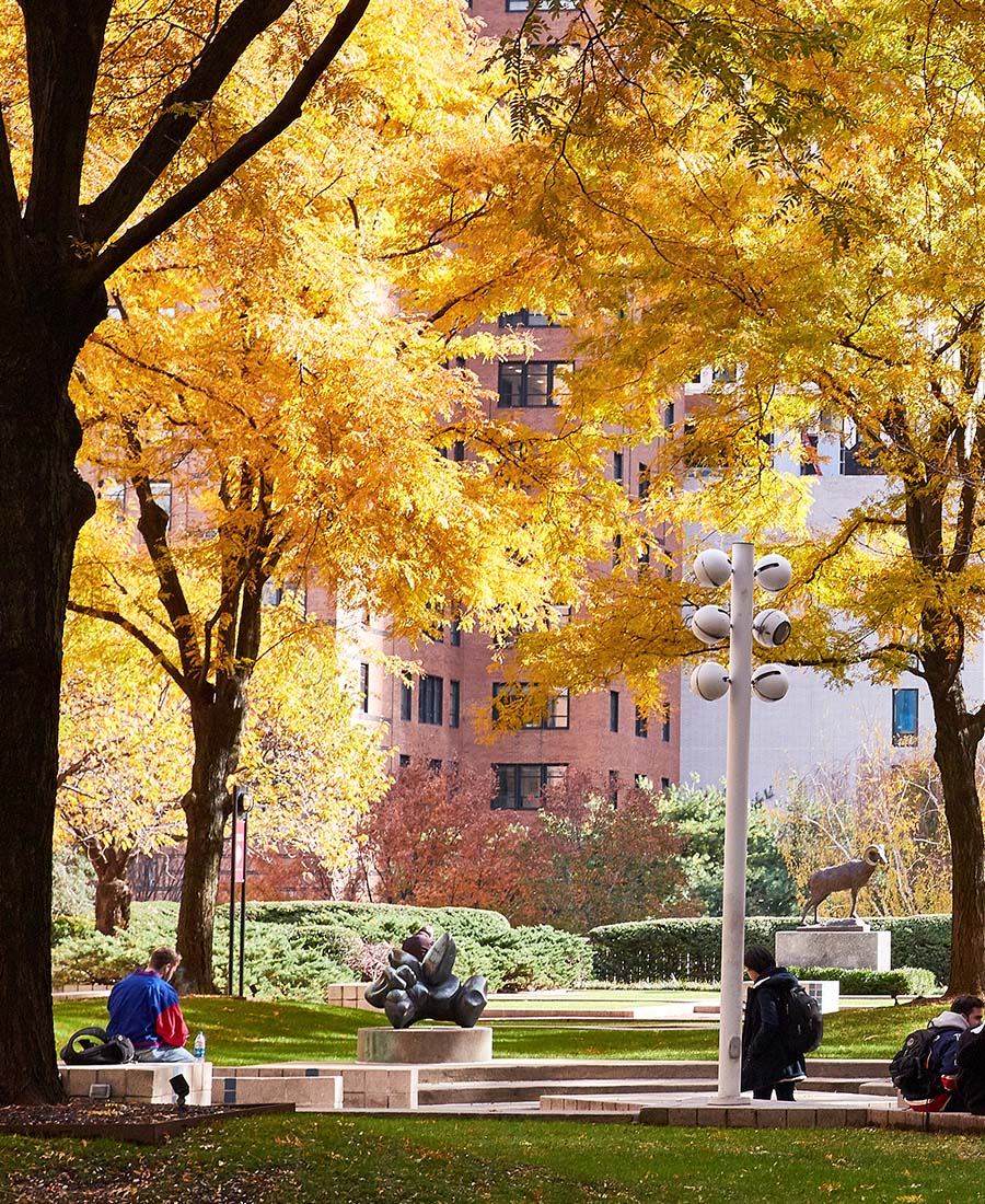 campus outside on a fall day with trees turned yellow