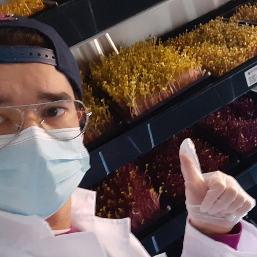 Alexandr Andrushevich wearing a mask and giving a thumbs up in front of purple radish and broccoli microgreens