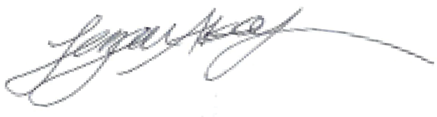 Signature of Lerzan Aksoy