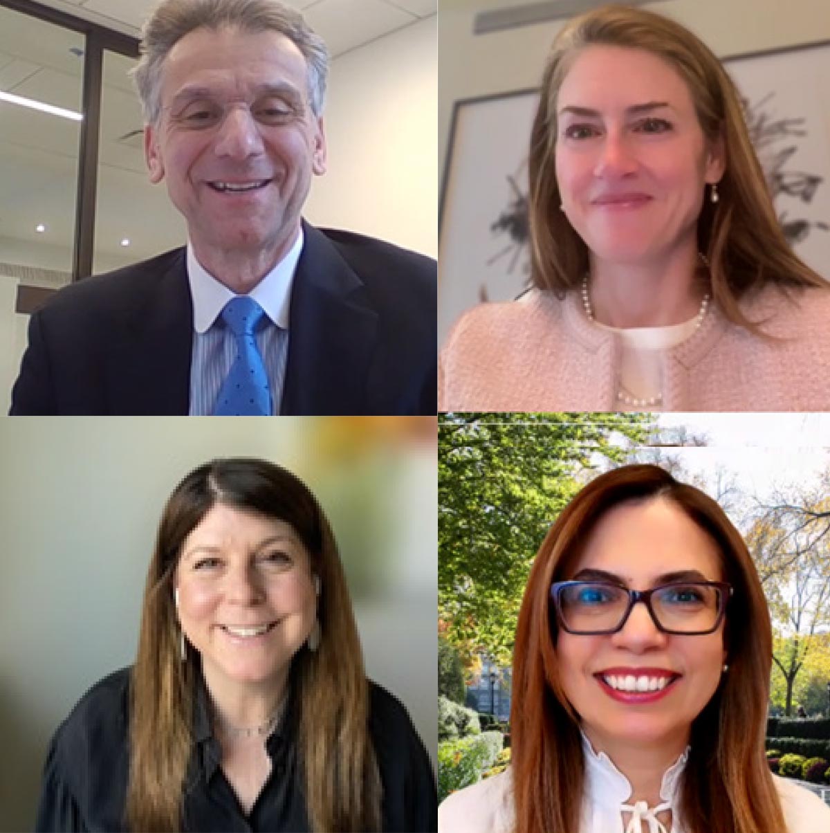 Dean Lerzan Aksoy moderating a recent WCD virtual event